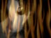 View full size picture
