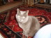 View full size picture