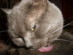 View full size picture