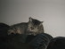 View full size picture