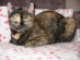 View full size picture