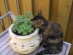 View full size picture