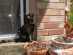 View full size picture