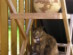 View full size picture