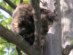 View full size picture