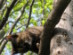 View full size picture