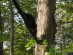 View full size picture