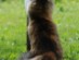 View full size picture