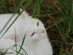 View full size picture