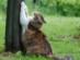 View full size picture