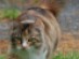 View full size picture