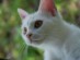 View full size picture