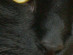View full size picture