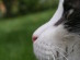 View full size picture
