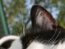 View full size picture