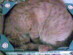 View full size picture
