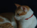 View full size picture