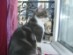 View full size picture