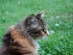 View full size picture