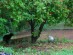 View full size picture