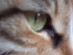 View full size picture