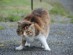 View full size picture