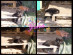 View full size picture