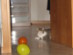 View full size picture