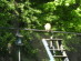 View full size picture