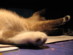 View full size picture