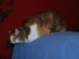 View full size picture