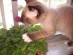View full size picture