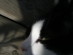 View full size picture