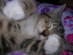 View full size picture