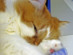 View full size picture