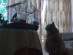 View full size picture