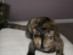 View full size picture