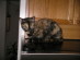 View full size picture