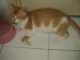 View full size picture