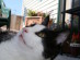 View full size picture