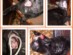 View full size picture