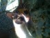 View full size picture