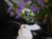 View full size picture