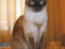 View full size picture