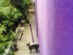 View full size picture