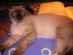 View full size picture