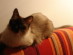 View full size picture