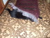 View full size picture