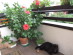 View full size picture