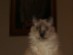 View full size picture
